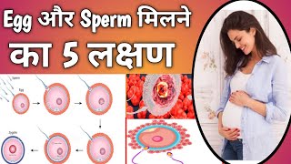 Successful Fertilization Symptoms in Hindi।Early Pregnancy symptoms।Pregnancy Ke Lakshan।preganancy [upl. by Neiht75]