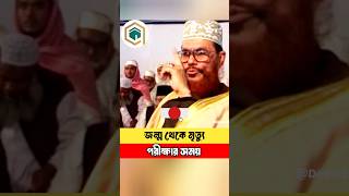 🌿❤️জন্ম থেকে মৃত্যু পরীক্ষার সময় ⁉️আল্লামা দেলাওয়ার হোসাইন সাঈদী DeeniElm sayeedi saidiwaz waz [upl. by Eetak]