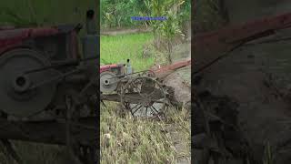 Traktor Sawah 335 Hand tractor [upl. by Atoiganap]