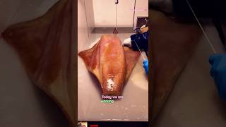 🦑 Giant Squid Skin Peeling Process  ASMR Calamari Prep squid cuttlefish calamar short trending [upl. by Esirahs880]