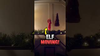 Bizarre Elf on a Shelf Caught On Camera 🤪 elf santa shorts [upl. by Lukey]