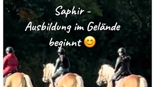 Saphir  Ausbildung im Gelände heute in der Gruppe 🤩🎠🐎🐴 [upl. by Nahgem]