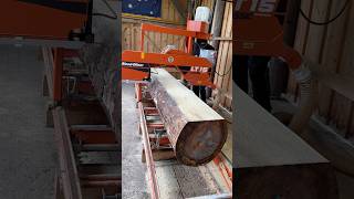 Woodmizer LT15 reaching limits 💯 woodmizer sawmill howto wood tools woodworking selfmade [upl. by Myles]