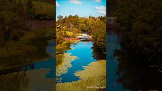 Beautiful hinterland in Sunshine Coast photography photooftheday australia [upl. by Minabe]