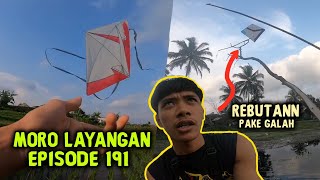 MORO LAYANGAN EPISODE 191  BERBURU LAYANGAN PUTUS DI KAMPUNG SENDIRI LAGI [upl. by Warfourd]