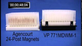 Magnetic Bead Separation in under 30 Seconds [upl. by Jacobo]