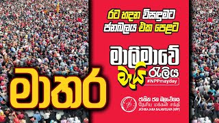 MATARA May Day Rally  මාලිමාවේ මාතර මැයි රැලිය  රටහදන විසඳුමට ජන බලය එක පෙළට  20240501 [upl. by Eilsehc]