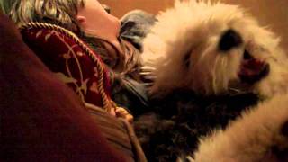 Old English Sheepdog Puppy Dolly [upl. by Nanette145]