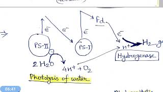 Biological Hydrogen Production hindi [upl. by Noisla492]