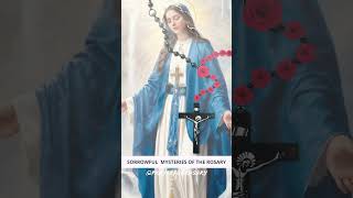 Todays Daily Rosary SORROWFUL MYSTERIES Tuesday Rosary 🌹 FEBRUARY 13 2024🌹 The Holy Rosary Prayer [upl. by Freddy]