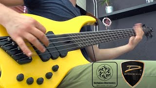 Periphery  Absolomb Bass cover by Werner Erkelens [upl. by Jada968]