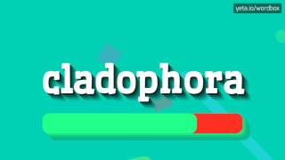 CLADOPHORA  HOW TO PRONOUNCE IT [upl. by Demitria]