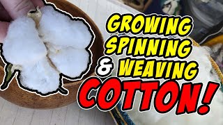 Growing Spinning and Weaving Cotton [upl. by Guildroy704]