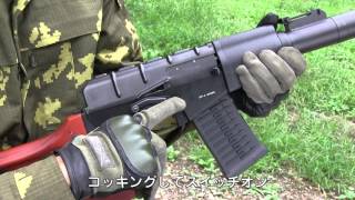 GampG 電動ガン GSS AEG Airsoft エアガン レビュー [upl. by Rotberg]