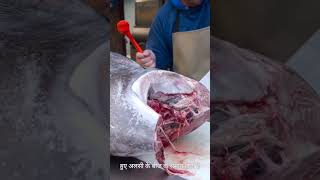 Benefits of chia seeds hindi ytshorts shortvideo youtube trending viralvideo viralshorts [upl. by Urban637]