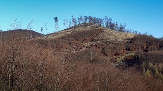 Veľké Vápenné Egreš l Little Carpathians SK  Overgrazed Menagerie Ancient Trees Excellent Views [upl. by Gaivn]