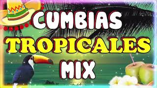 CUMBIAS VIEJITAS TROPICALES 2024🍹 LOS KARKIKS FITO OLIVARESTROPICAL FLORIDA🌴CUMBIAS TROPICALES MIX [upl. by Marquita]