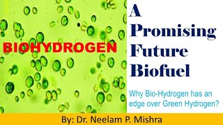 Biohydrogen A Valuable Future Biofuel Production Methods Fully Explained [upl. by Yttiy]