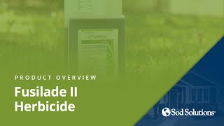 Best PostEmergent Herbicide for Grassy Weeds [upl. by Duer164]