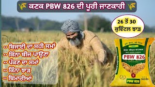 Full details of PBW 826 Wheat Seed  ਕਣਕ PBW 826 ਦੀ ਪੂਰੀ ਜਾਣਕਾਰੀ [upl. by Ordisy]