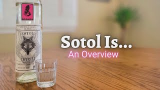 Sotol Is Learn about Mezcal amp Tequilas Rugged Cousin [upl. by Joette]