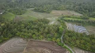 Jual Tanah Full view laut dan terasering sawah di desa lumbung Tabanan Bali [upl. by Anilahs947]