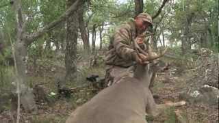 Deer Killed with Ten Point Crossbow By Clark Wendlandt [upl. by Ahsikrats423]