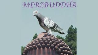 Merzbow  Merzbuddha Full Album [upl. by Blood346]