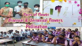 Parts of flower  Bisexual and Unisexual flowers  Pollination  10th class Biology [upl. by Rehpotsirhc121]