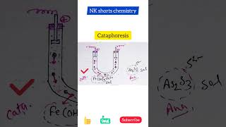 electrophoresis cataphoresis anaphoresis surface chemistry nkshortschemistry NEET JEE shorts [upl. by Annaigroeg]