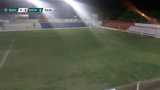 En vivo Pedal vs RINCÓN DEL ATUEL [upl. by Yrannav]