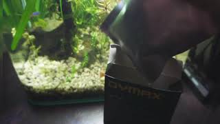 Unboxing DYMAX CO2 Tablet for your planted tank [upl. by Ajnos401]