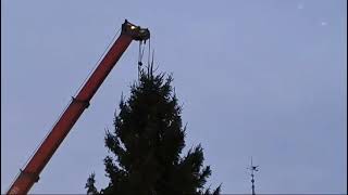 Es wird weihnachtlich Der Christbaum am Neuen Platz wird gerade aufgestellt 🌲🌲🌲 [upl. by Jahdol]