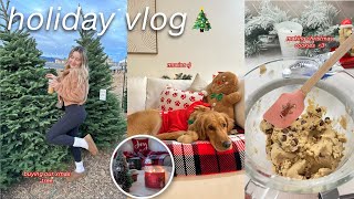 the ULTIMATE holiday vlog ❄️  baking cookies real christmas tree vlogmas 2023 [upl. by Netneuq]