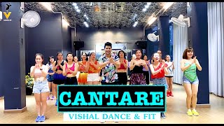 Cantare  Zumba Dance Workout  Pitbull ft Lenier  Easy Zumba Steps  Vishal Zumba [upl. by Afihtan]