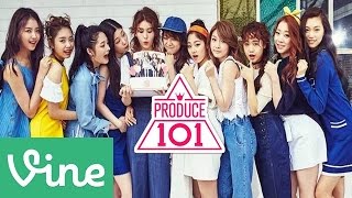 IOI VINE COMPILATION 1 [upl. by Trinatte]