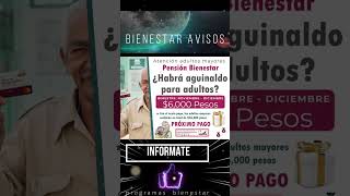 📌💣¿Recibirán aguinaldo los beneficiarios de la Pensión Bienestar para adultos mayores [upl. by Swetiana]