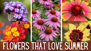 5 Flowers To Beat The Heat with Summer Color  Part 1 🌻  Sun Loving Flowers  Heat Tolerant Plants [upl. by Annoiek]