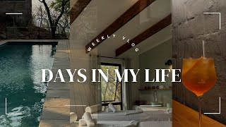 Weekly Vlog 7 Miombo Mountain Lodge Staycation zimbabwe zimyoutubers harare [upl. by Domini251]