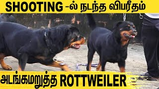 அதி பயங்கர ராட்சஸ பலம் கொண்ட ROTWILLER   All About Dogs EPISODE  18  DOG [upl. by Goar564]