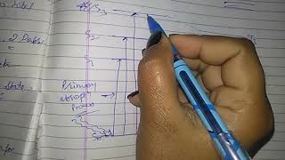 Jablonski diagram  Chem kinetics lect 14 by cs [upl. by Neenahs]