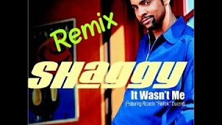 Shaggy It Wasnt Me Remix garage [upl. by Loresz]