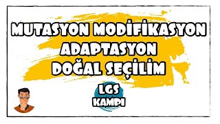 Mutasyon Modifikasyon Adaptasyon  LGS Kampı [upl. by Cottrell]