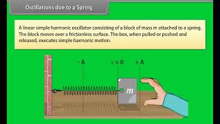 Standard 11 Physics Chapter 13  Oscillations  Quick revision [upl. by Ecirtahs]