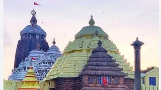 Puri Jagannath temple🙏 2024ପୁରୀ ଜଗନ୍ନାଥ ମନ୍ଦିର 14112024 [upl. by Nahtnamas]