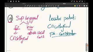 pharyngeal arches ampdevelopment of face [upl. by Anehsak]