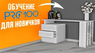 Обучение PRO100 для начинающих Изучите PRO100 за 10 МИНУТ [upl. by Cappello]