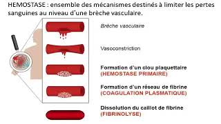 Hemato 08La physiologie de l’hémostase Dr Abbadi [upl. by Gone]