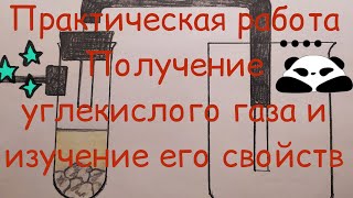 38 Практическая работа Получение углекислого газа и изучение его свойств [upl. by Behlau782]