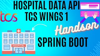 T4 wings1 SpringBoot Hospital Data API Handson wings1 frescoplay [upl. by Dorr]